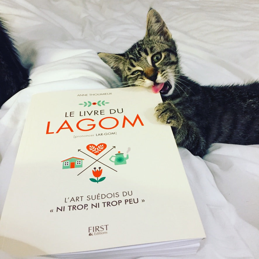 Chaton joueur avec le livre du Lagom, une touche slow living pleine de douceur