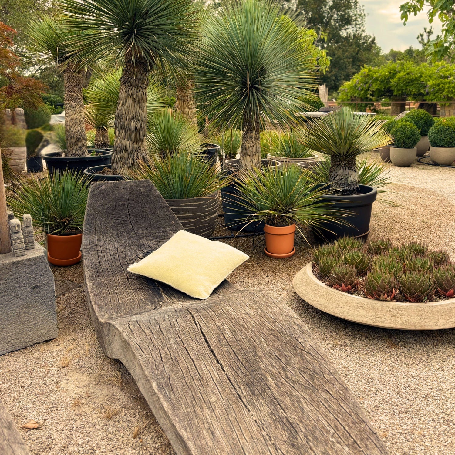 hospitalité durable coussin chauffant Sukha terrasse restaurant hôtel