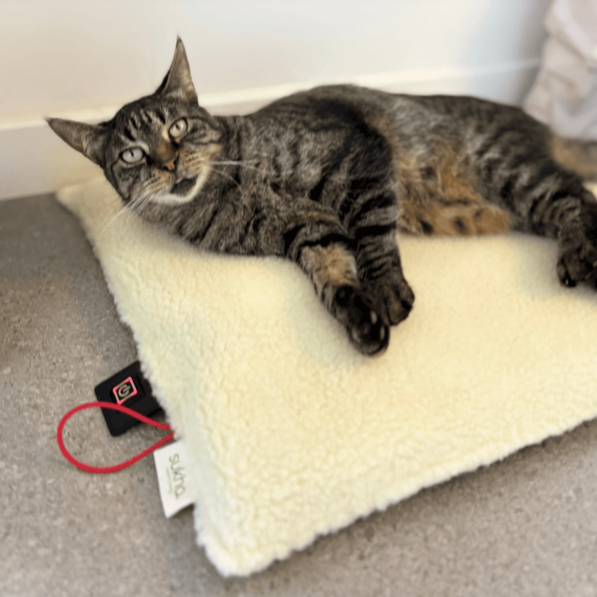 PACHA MINI, coussin chauffant pour chat en laine de brebis des Pyrénées