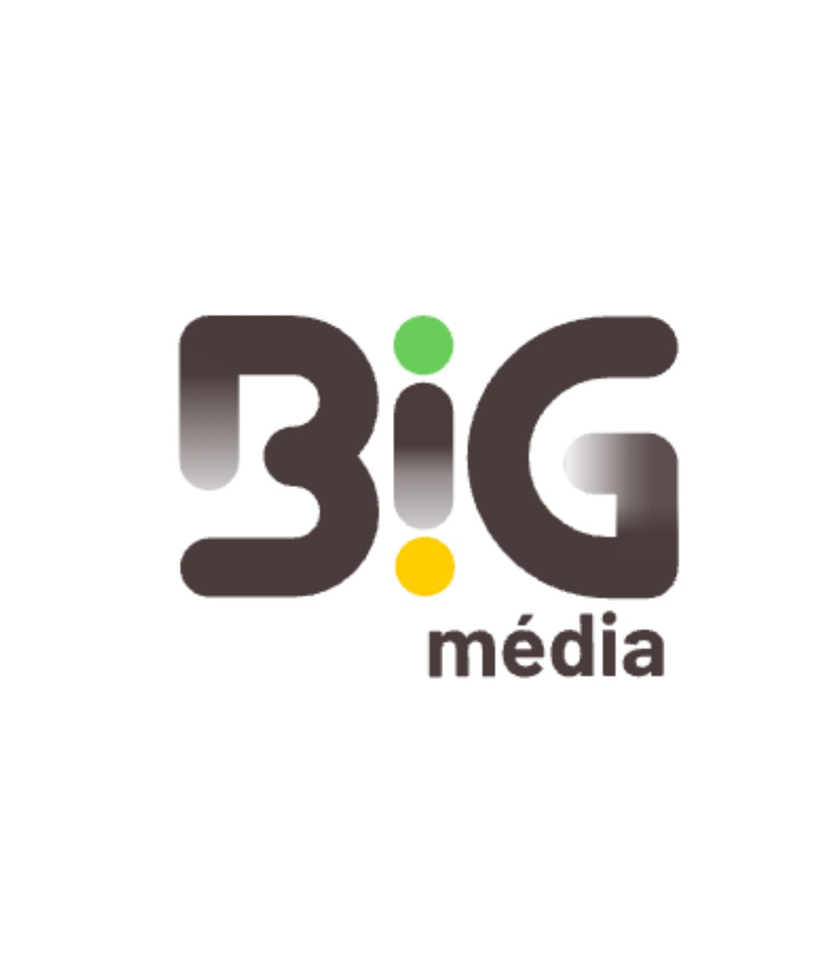 logo BIG MEDIA - BPI FRANCE