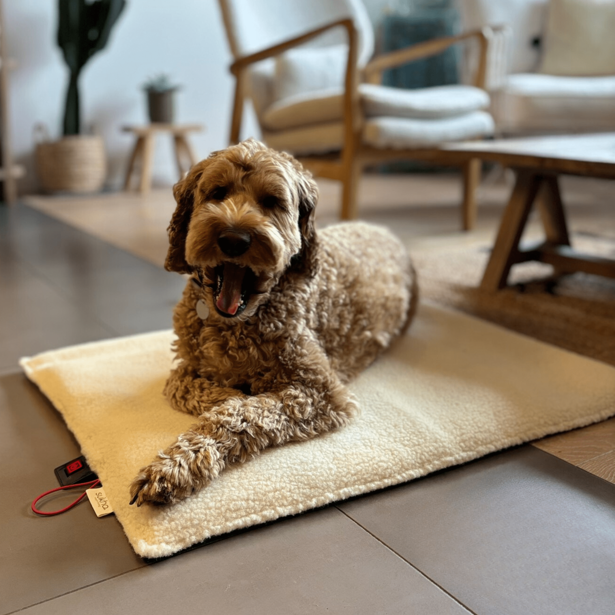 PACHA - Coussin chauffant chien - Laine de brebis Pyrénées - Sukha